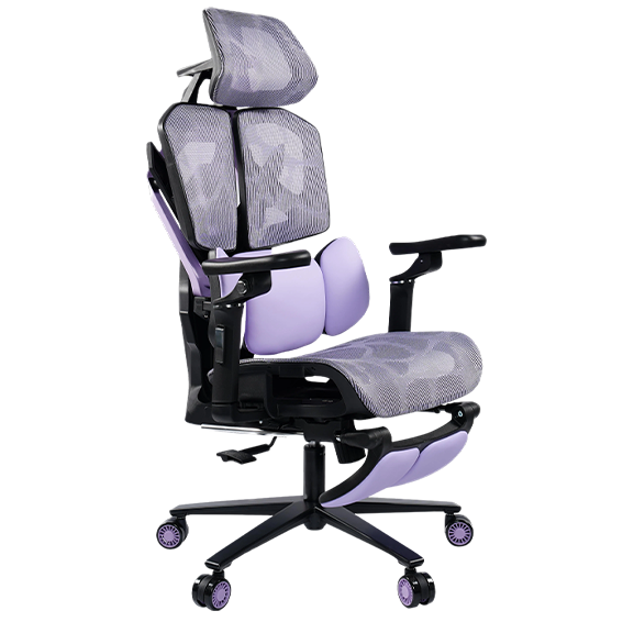 Anji Xielong Furniture Co., Ltd.