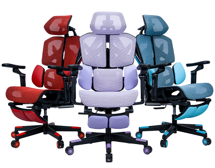 Anji Xielong Furniture Co., Ltd.
